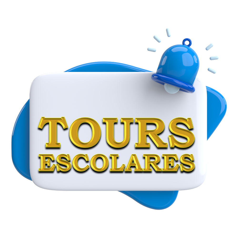 Moche Tours Escolares