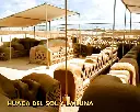 FULL DAY TRADICIONAL
